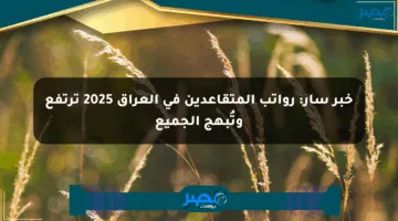 خبر سار: رواتب المتقاعدين في العراق 2025 ترتفع وتُبهج الجميع